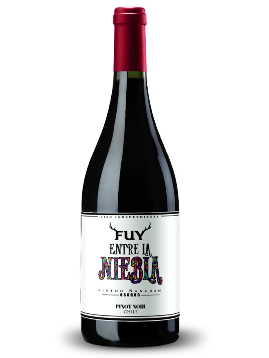 Pinot-Noir-Entre-la-niebla-2-ok